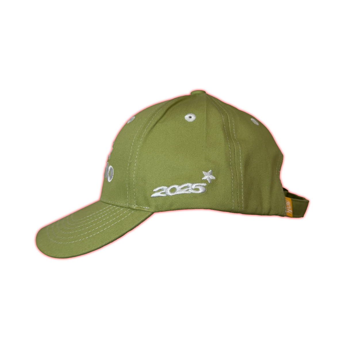 SIX PANEL CAP GREEN
